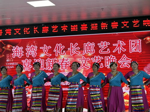 海灣文化長廊藝術(shù)團(tuán)舉辦“喜迎新春”文藝晚會，共繪文化藝術(shù)交流新畫卷